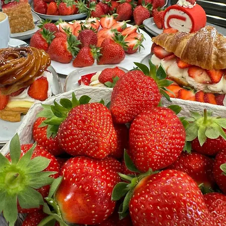 Holiday home Dum Ve Vrananech