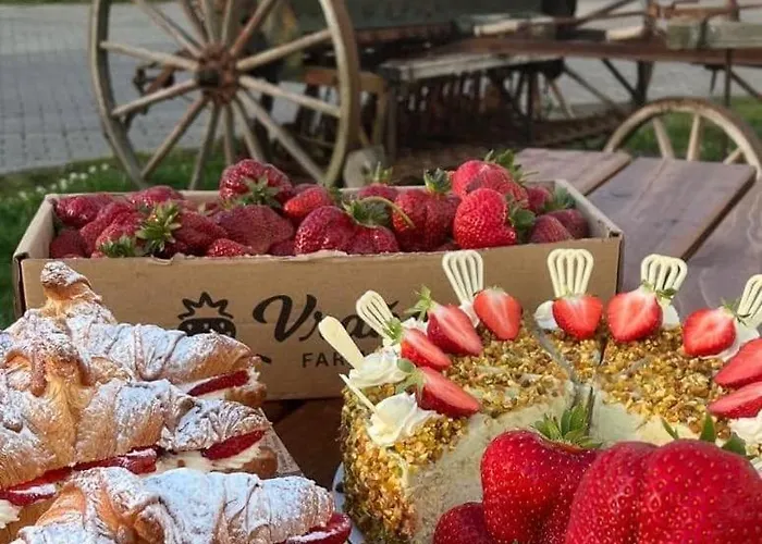 Dum Ve Vrananech Semesterbostad Mělník