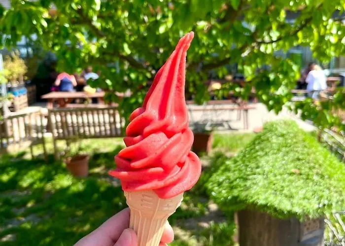 Dum Ve Vrananech Semesterbostad *